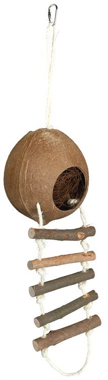Kokosnötshus Med Stege