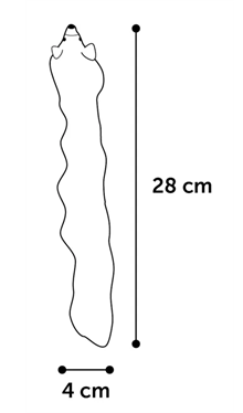 Kattleksak Plyschmus extra låång 28cm