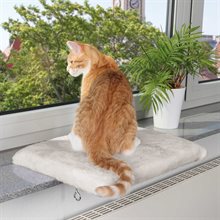 Fönsterhylla Katt